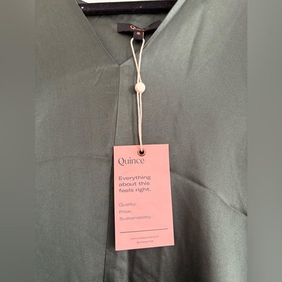 Quince Maternity Silk Dress W/O Belt - Picture 5 of 5